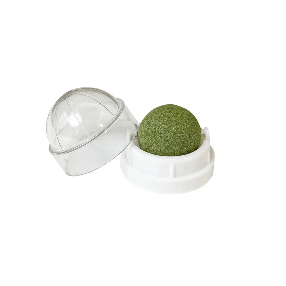 Natural Catnip Wall-Mounted Ball Toy and Scratcher for Healthy Digestion and Cat Grass Treats