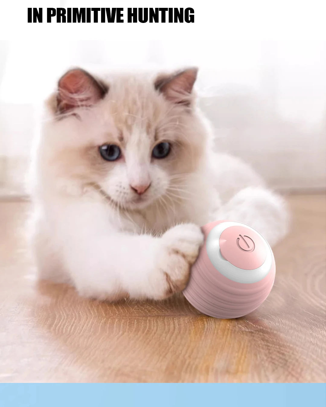 Bola Eletrónica Interativa para Gatos