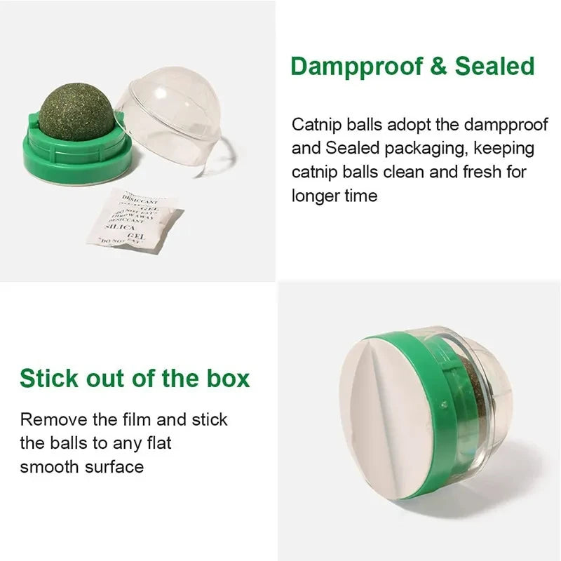 Natural Catnip Wall-Mounted Ball Toy and Scratcher for Healthy Digestion and Cat Grass Treats