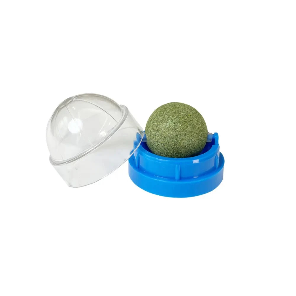 Natural Catnip Wall-Mounted Ball Toy and Scratcher for Healthy Digestion and Cat Grass Treats