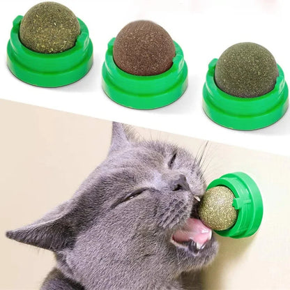 Natural Catnip Wall-Mounted Ball Toy and Scratcher for Healthy Digestion and Cat Grass Treats