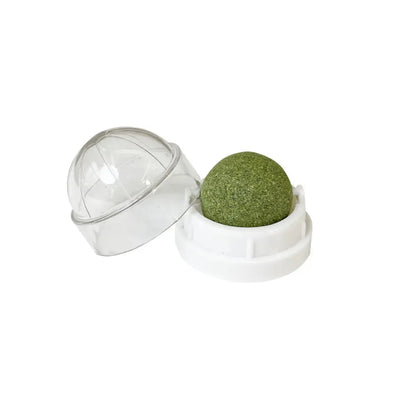 Natural Catnip Wall-Mounted Ball Toy and Scratcher for Healthy Digestion and Cat Grass Treats
