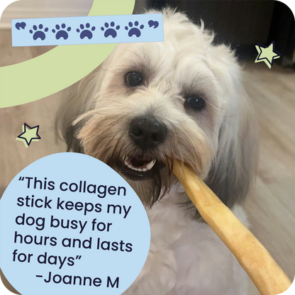 Beef Collagen Snack Sticks
