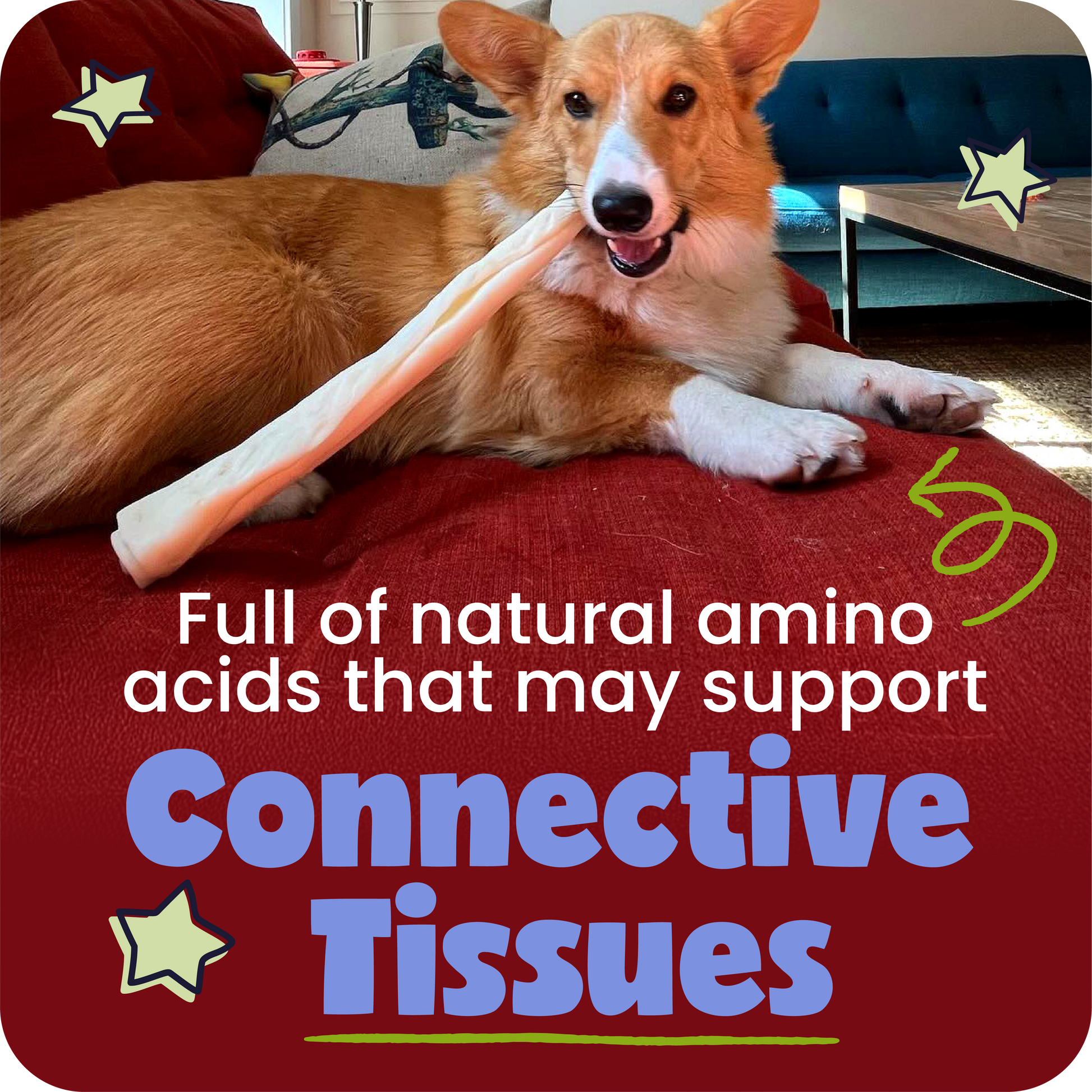 Beef Collagen Snack Sticks