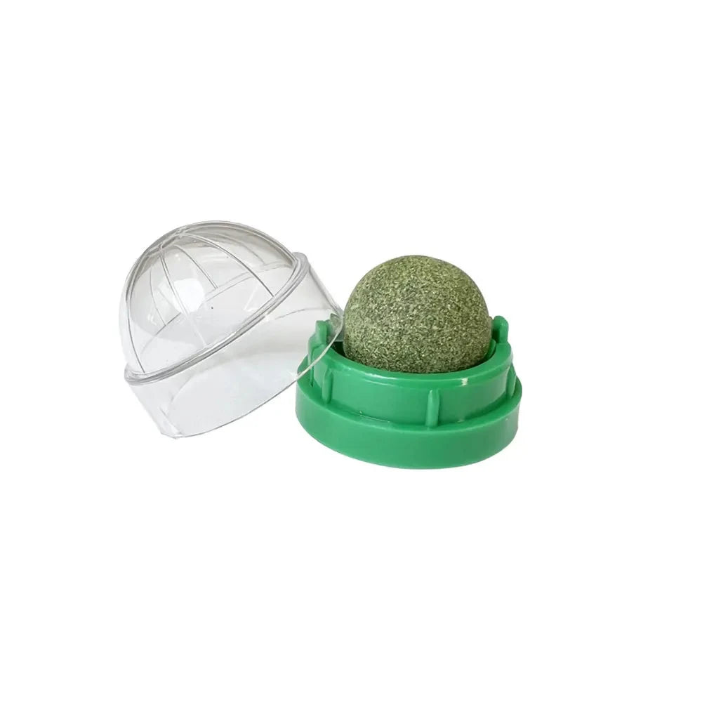 Natural Catnip Wall-Mounted Ball Toy and Scratcher for Healthy Digestion and Cat Grass Treats