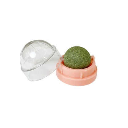 Natural Catnip Wall-Mounted Ball Toy and Scratcher for Healthy Digestion and Cat Grass Treats