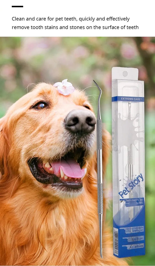 Raspador Dental para Cães